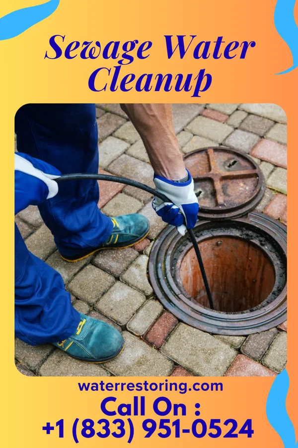 Sewage Water Cleanup in Millers Lake, MI