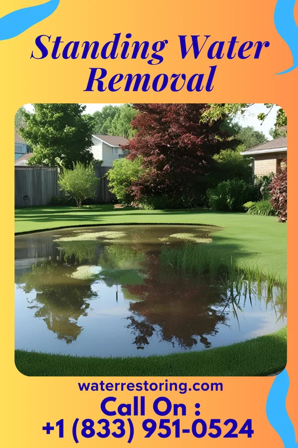 Standing Water Removal in Millers Lake, MI